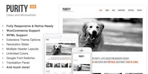 Purity v4.5.1 – Responsive, Minimal & Bold WP Theme