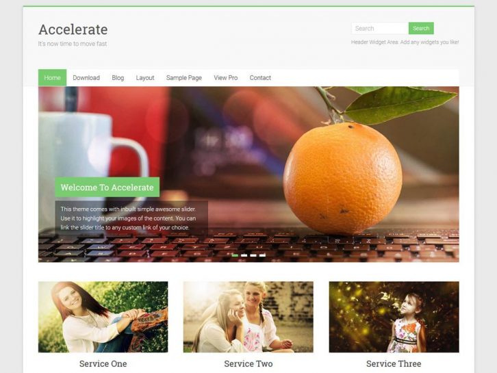 Accelerate wordpress theme