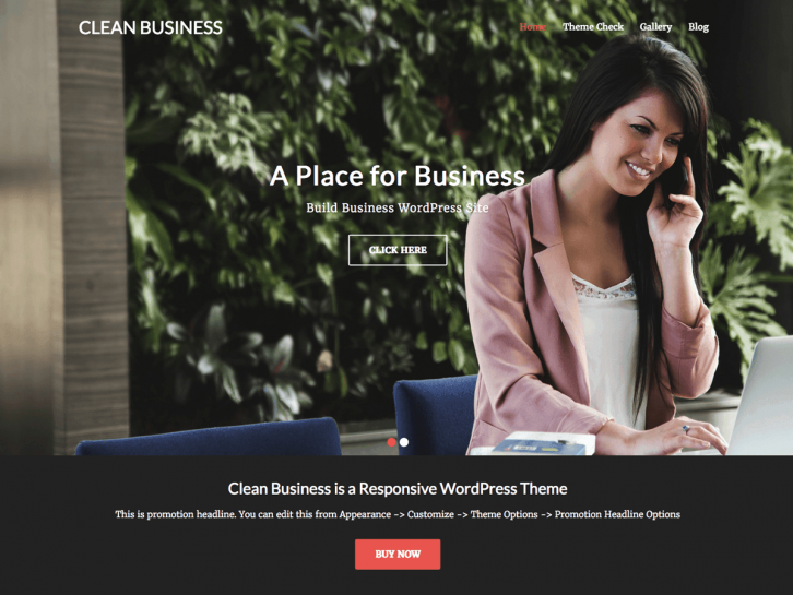 Clean Business wordpress theme