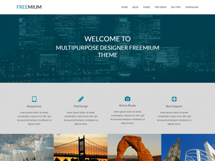 Freemium wordpress theme