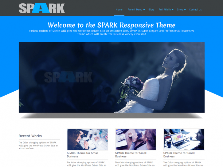 SPARK wordpress theme