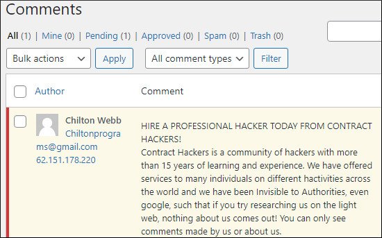 example of spam comment on WordPress